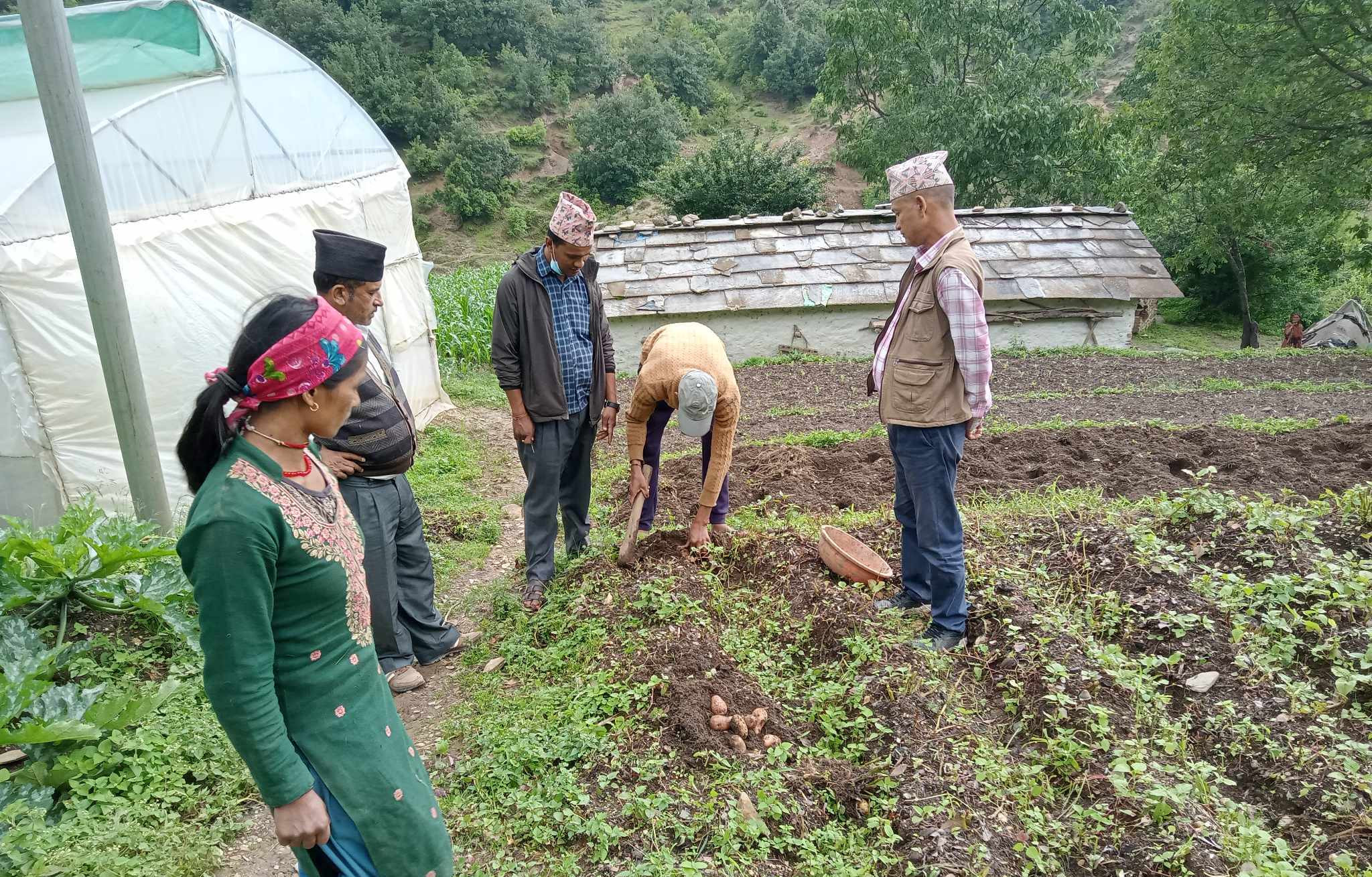 आनन्दपुरका किसानलाई आलु खेतीमै आनन्द, अब मजदुरी गर्न भारत जाँदैनन् 